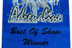 club-banner-17
