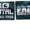 ECONOMY CAR FLAGS